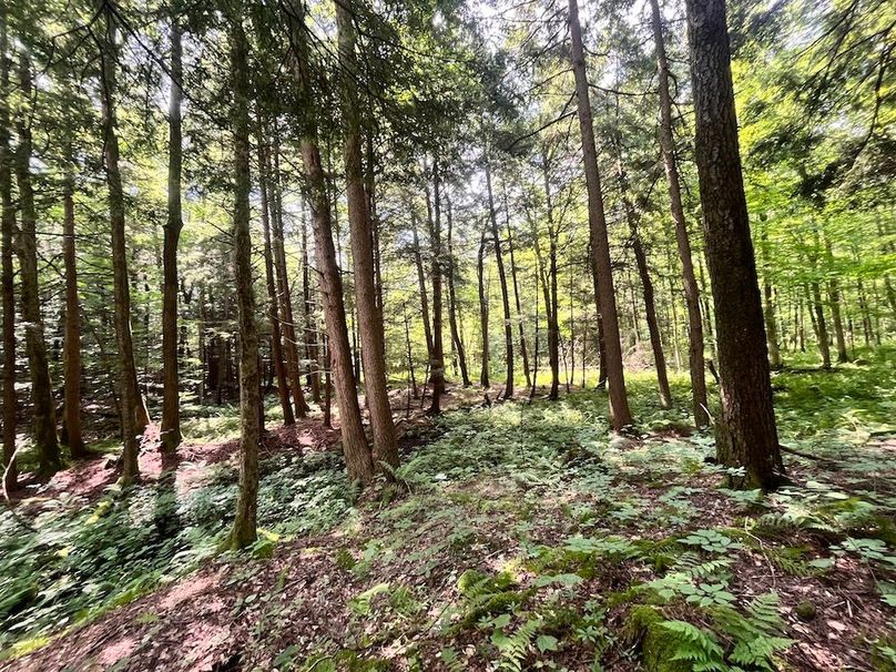 Oswego_133.72_Middleton_Photos_52