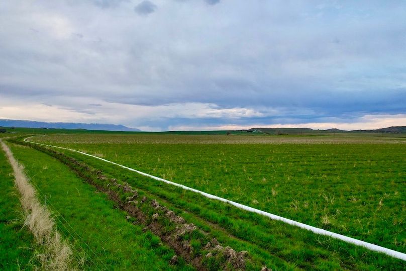 7C14BFB9-9D1C-4830-8C80-3016A8F69E99_1_105_c