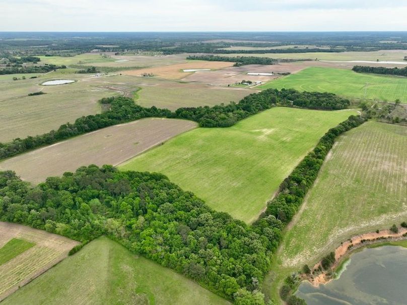 dji_fly_20260406_131730_475_1775496420647_photo