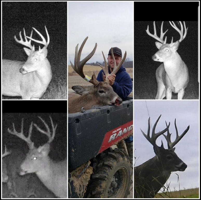 Screenshot_20240823_164359_Gallery