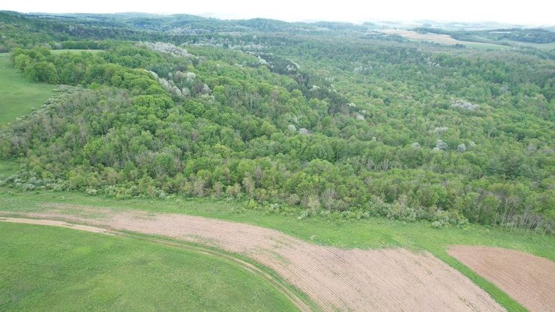 dji_fly_20250515_125904_231_1747328907010_photo