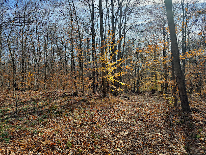 photo_8105dd21-8d5a-47b6-b1c6-66829bff06c8