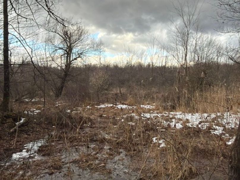 EDD82FCD-43C4-435A-9033-A08F42972E68_4_5005_c