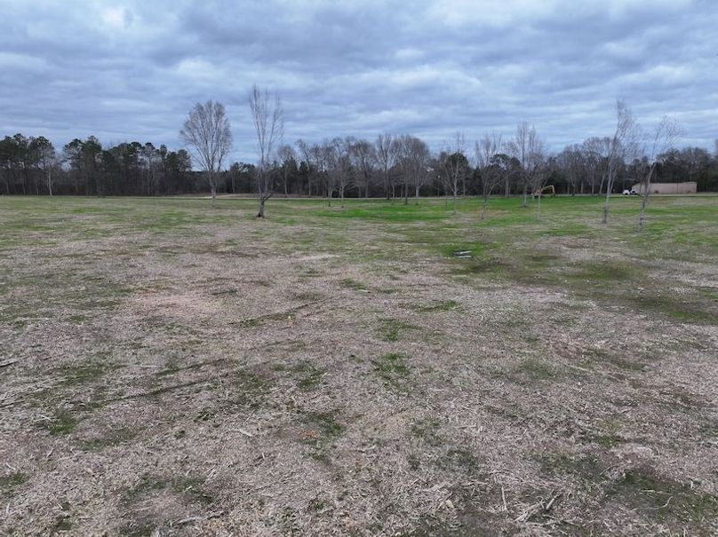 Copy of dji_fly_20260217_143920_0159_1771436902487_photo