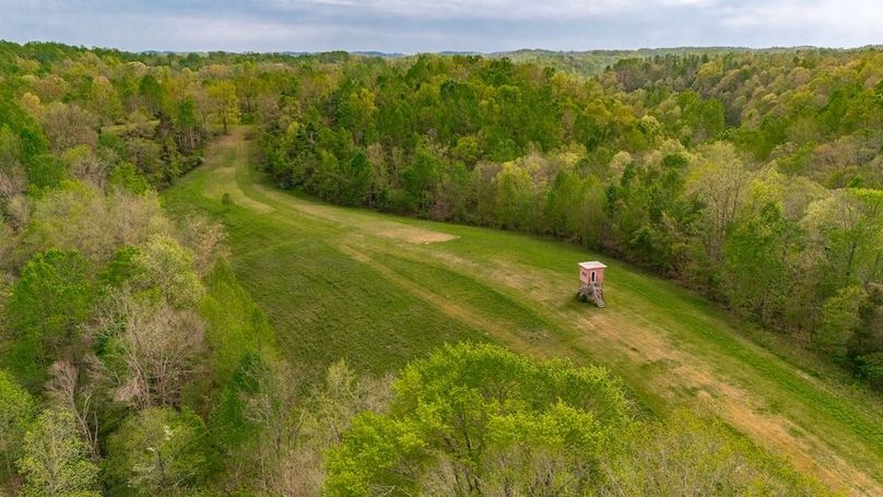 12-web-or-mls-1103 Johnny Spears Rd-17