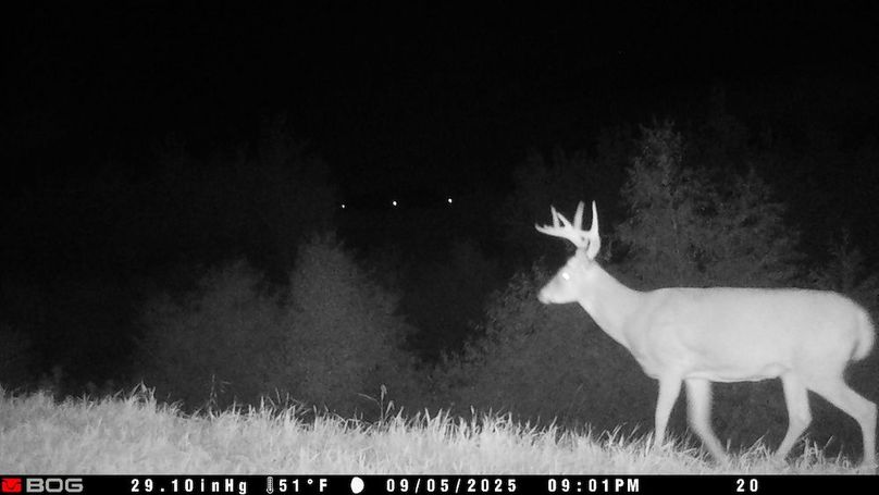 TRAIL CAM 6