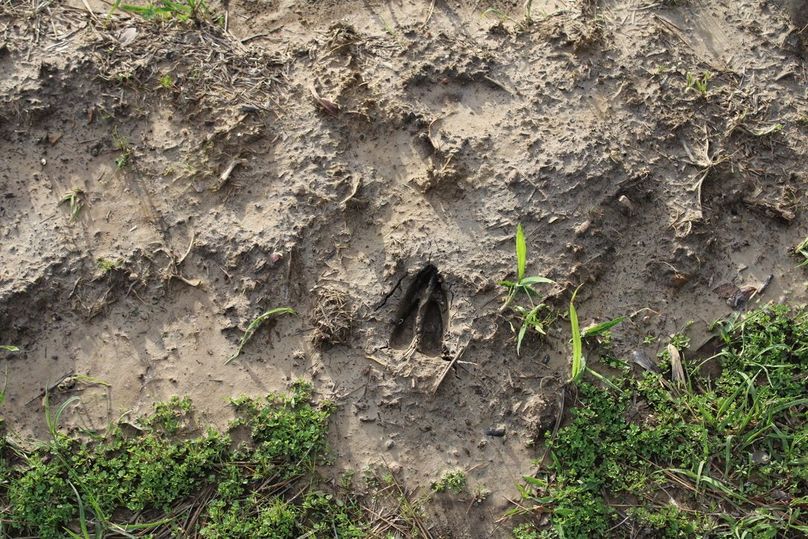 40DA677E-D318-4F0F-B5A1-3BD018B9A6AB_1_105_c