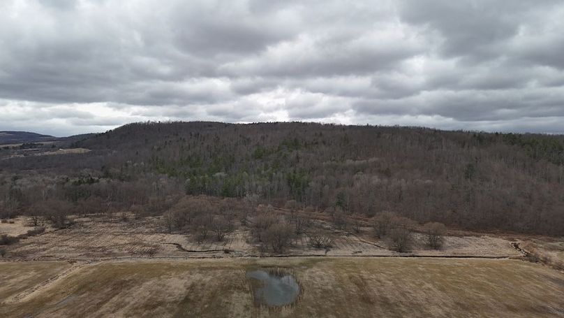 DJI_20260312153412_0060_D