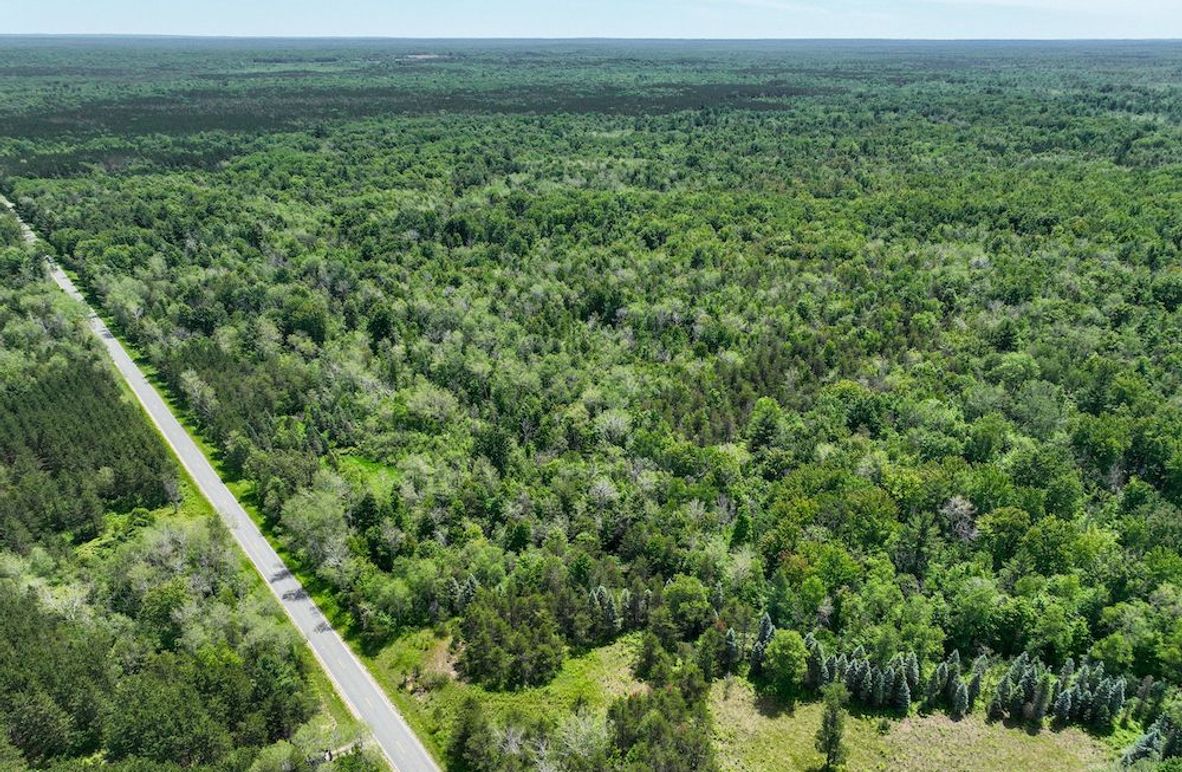 1 Looking SE from 13 Mile Rd.