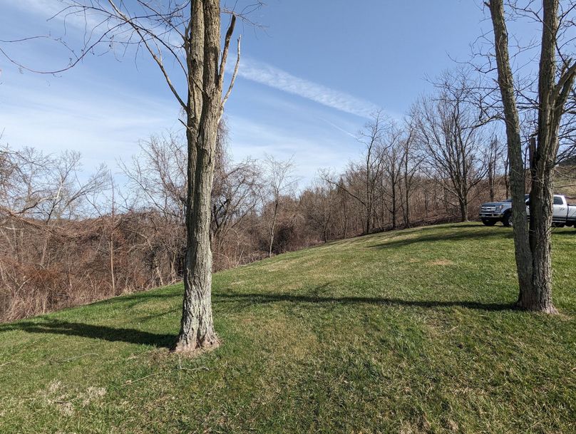 PXL_20230301_160449886