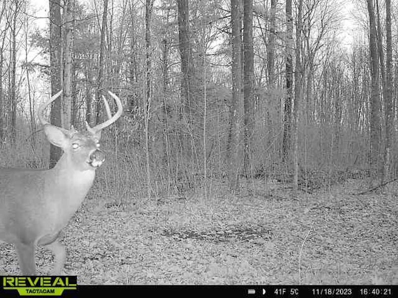 865814048724973-100-1-11182023164020-W1011897