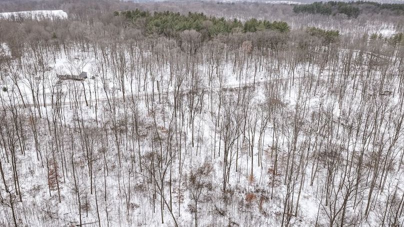 dji_fly_20260202_120634_0010_1770052176699_photo