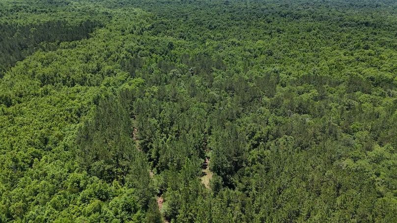 DJI_20240516124515_0023_D