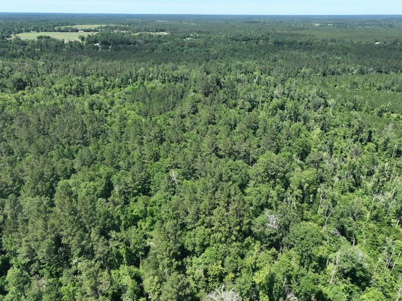 dji_fly_20250522_163300_252_1747959821887_photo