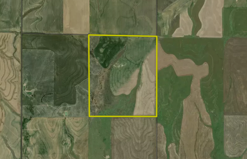 Screenshot 2024-03-20 at 8.03.39 AM