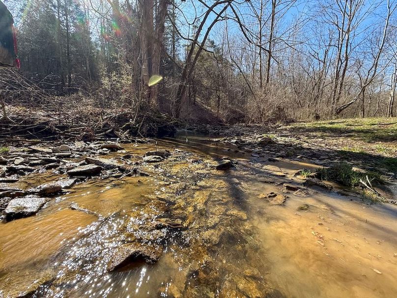 Fleming Petry 115-34