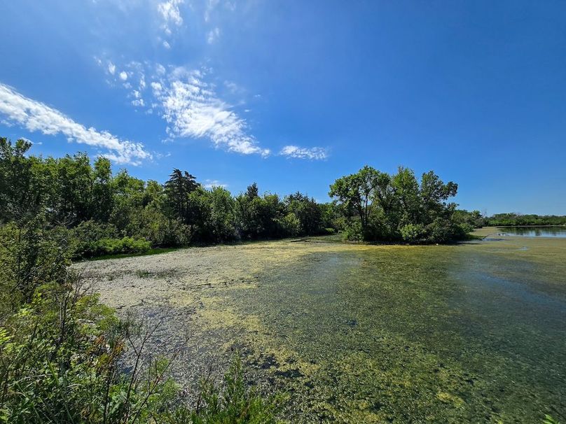 Copy of 20250729_112536