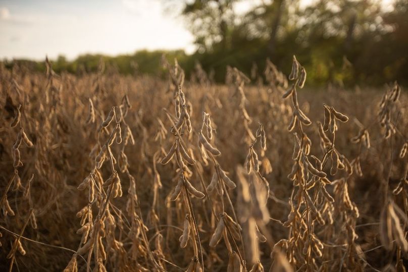 Copy of POTTAWATTAMIE CO IA 311 TRACT 2_4