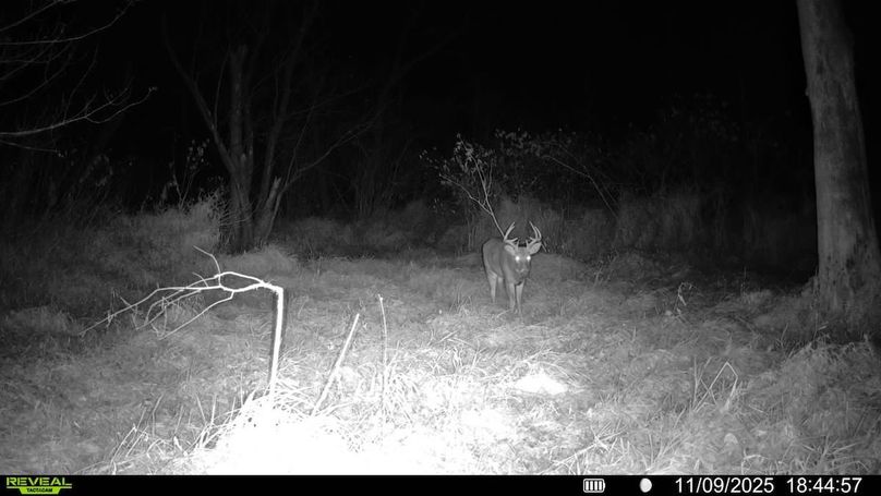 016579008159910-100-3-11092025184457-SYFW00344