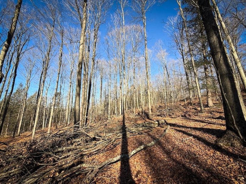 Chemung_31.75_Seymour_South_Photos_11