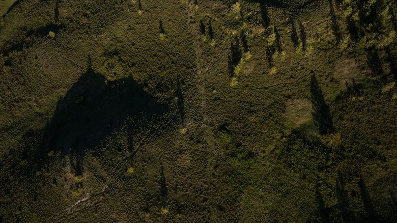 79B3F6FE-A5CE-4289-985B-19519F8066B7