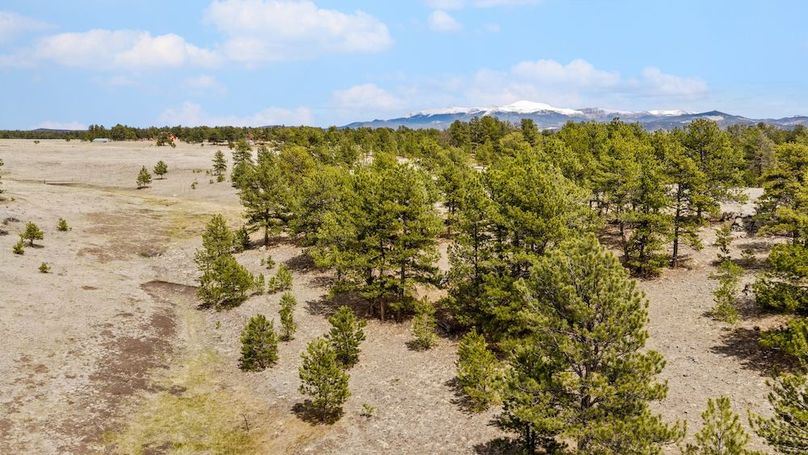 DJI_20260504141431_0537_D