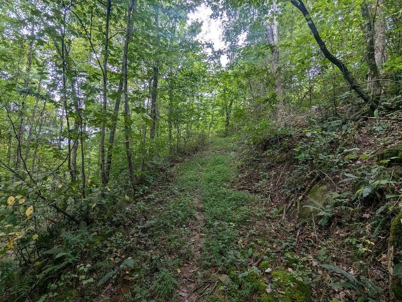 PXL_20240819_145238848