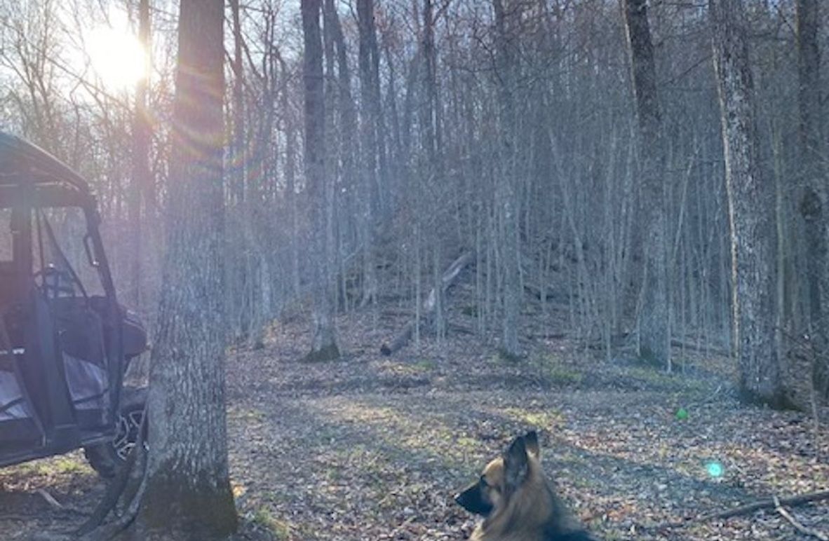 006 everyone relaxes here