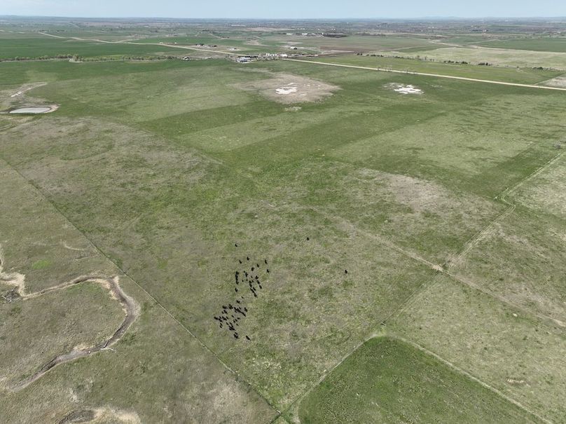 DJI_0159