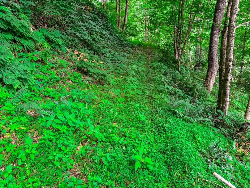 Doddridge, WV 15.68 AC Bonnett-64