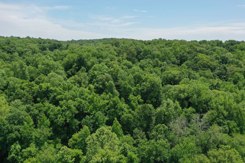 DJI_0400