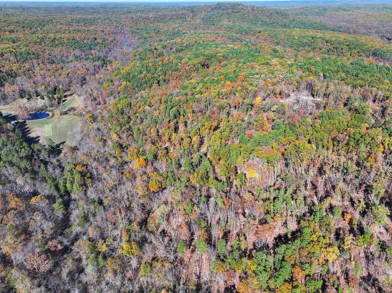 DJI_20251104130441_0842_D