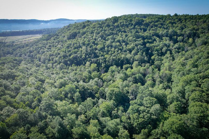 Tioga_82.5_Williams_Photos_33