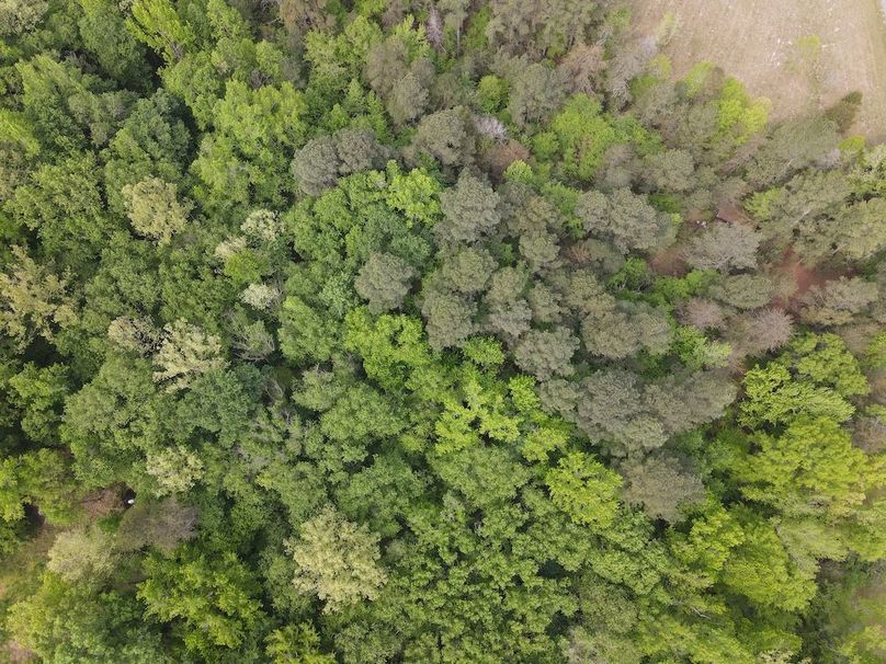 DJI_0468