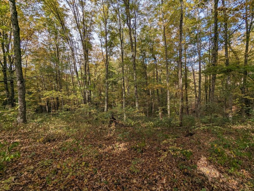 PXL_20231004_191530110