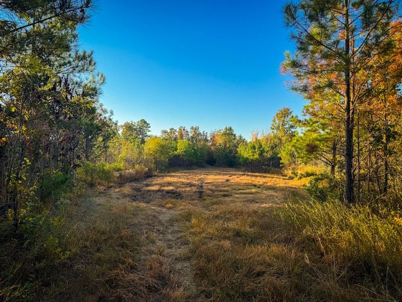 Clay 302.7 Henderson-44