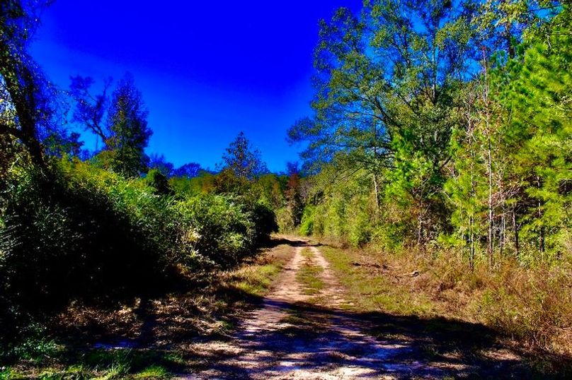 A3221FBF-752D-4E42-A253-1D21F2ED7B95_1_105_c