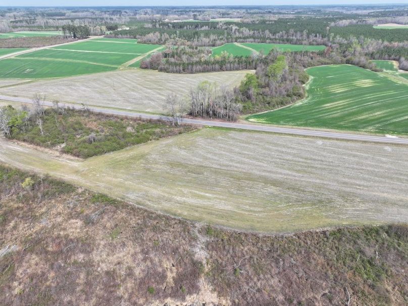 DJI_20260303065208_0594_D