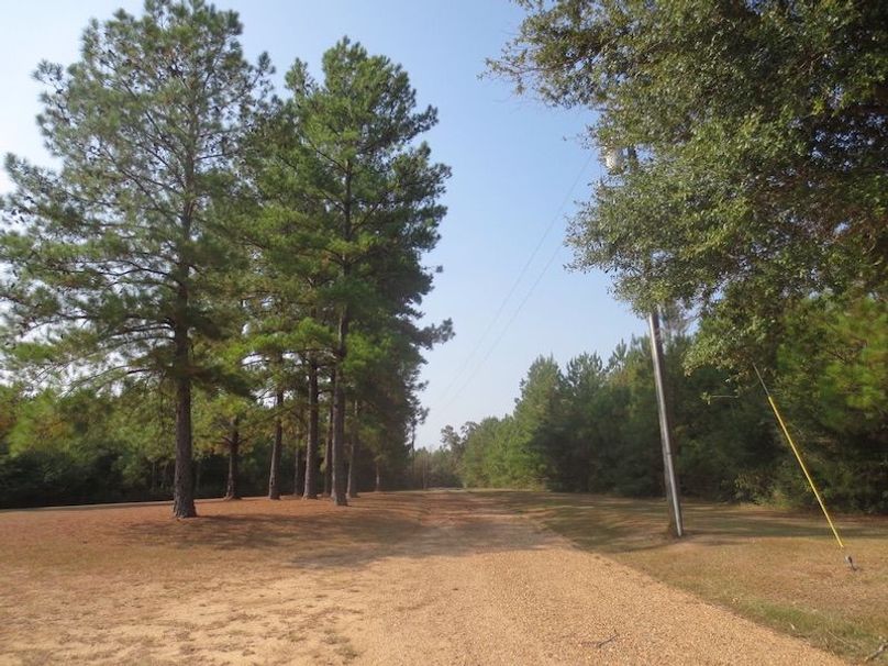 C94DFB96-83ED-4D57-936C-7F32E48DBC86_1_105_c