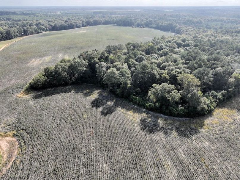 dji_fly_20251007_101122_232_1759846412809_photo