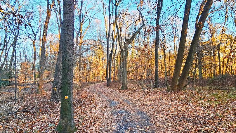 7.9ac_Hidden Creek_PIC_19