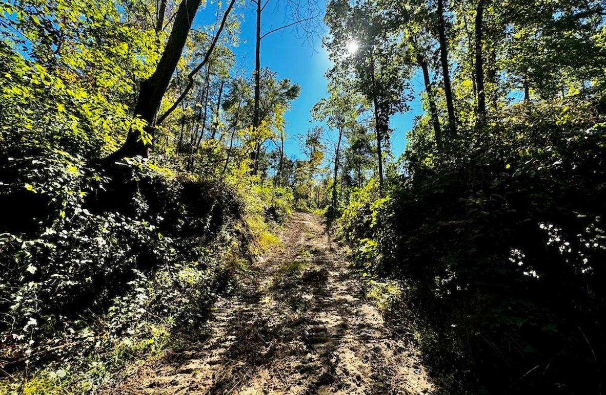 ATV trail