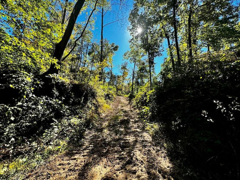 ATV trail