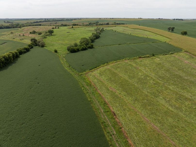 Copy of DJI_20250827113113_0038_D