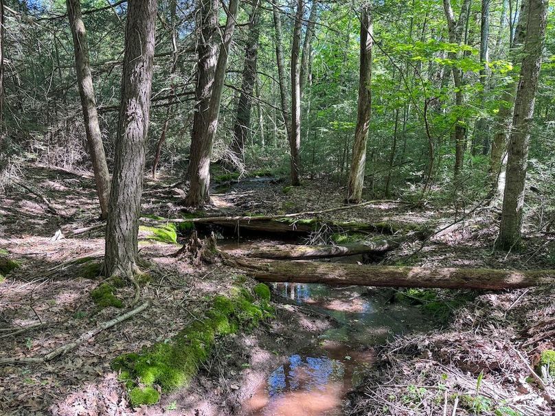 043