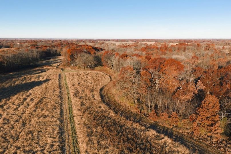 DJI_20251116075311_0036_D