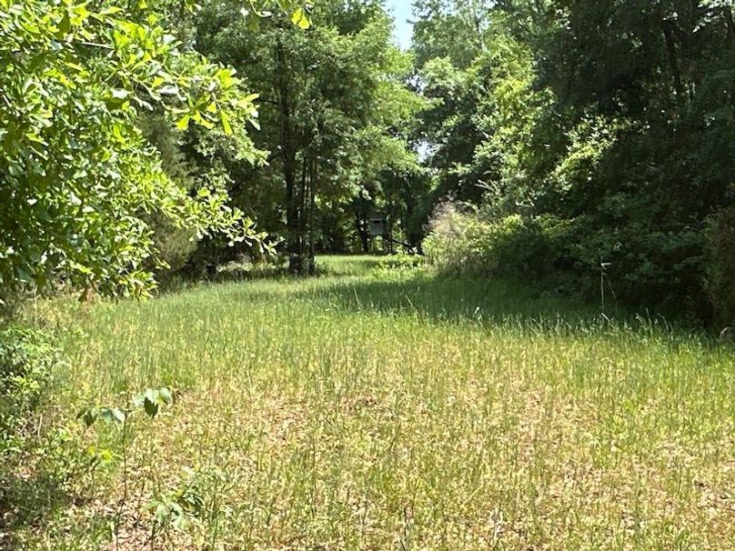 Pic 13