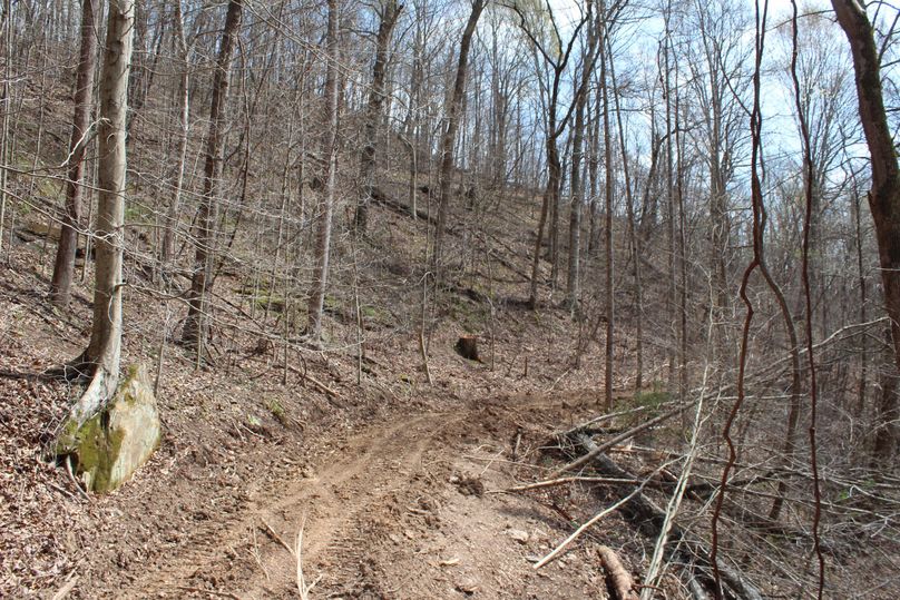 011 the recently graded roads leading through the property