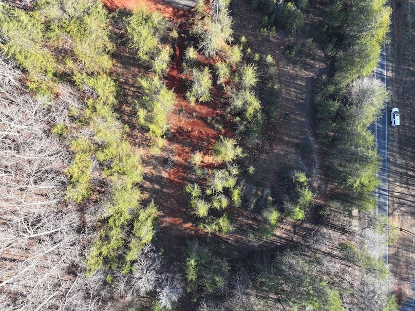 dji_fly_20260122_090446_0474_1769105763294_photo