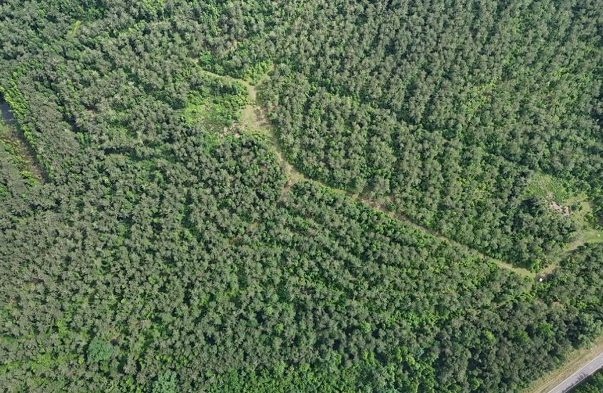 DJI_20260605044636_0065_D